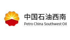 中国石油西南公司